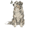 Australian Shepherd Banksy Style Dog Motif