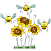 Insectes
