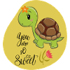 cute turtle
