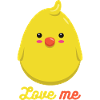 Canard