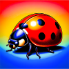 coccinelle