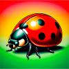coccinelle