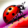 ladybird