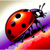 coccinelle
