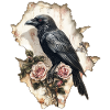 Raven