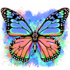 butterfly