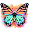 Schmetterling