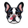 Bouledogue français Embrasse Chien Amour