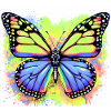 papillon