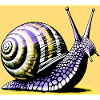 Snail