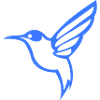 Colibri Silhouette Oiseau
