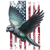 Pionus Parrot US Red-rumped Parrot