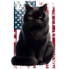 Grumpy Black Cat US Schwarze Katze