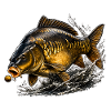 Mirror Carp Fishing Design