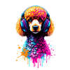 Caniche avec un casque