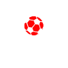 England Fansupporter Wingball