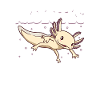 Be a Hypomelanistic melanoid Axolotl