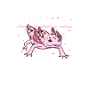 Soyez un Axolotl Arlequin