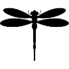 Libellule