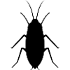 cafard