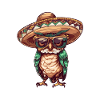 Sombrero drôle de hibou