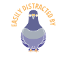 Pigeon pigeon