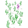 Cactus désert vert et violet
