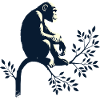 Chimpanzé