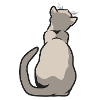 chat dos