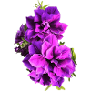 Purple Petunias – floral print