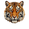 Tigerkopf im Ölfarbenstil