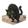 Aggro Cat on Persian Rug