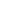 Homo Faber