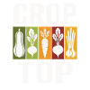 Vegetable Icons Crop Top Design