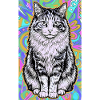chat