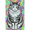 chat