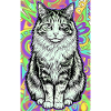 chat