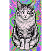 chat