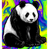 panda