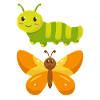 Caterpillar to Butterfly