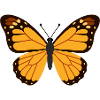 Orange Monarch Wings
