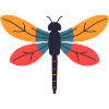 Bunte Libelle Farbenspiel