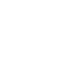 Turtle-2-white