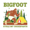 Bigfoot Stole My Underpants