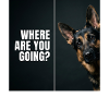 Lustiger Schäferhund Hunde Spruch Tierfreunde