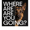 German Shepherd Statement Motif