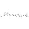 City Lines Silhouette Munich