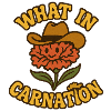 What in Carnation Cartoon Flower