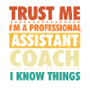 Professional Assistant Coach Tennis Humor