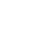 peregrine falcon